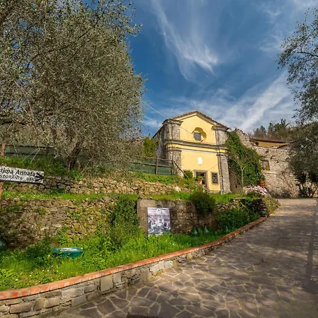 Un'ottima Annata * Montedivalli Chiesa