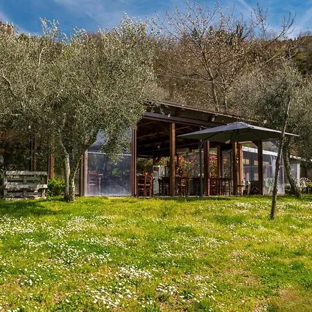 Un'ottima Annata * Montedivalli Chiesa