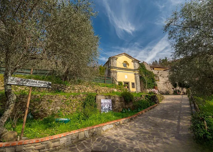Un'ottima Annata 3* Montedivalli Chiesa